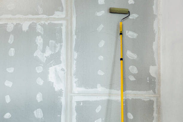 Trusted Farmer City, IL Painting & Drywall Installation Experts